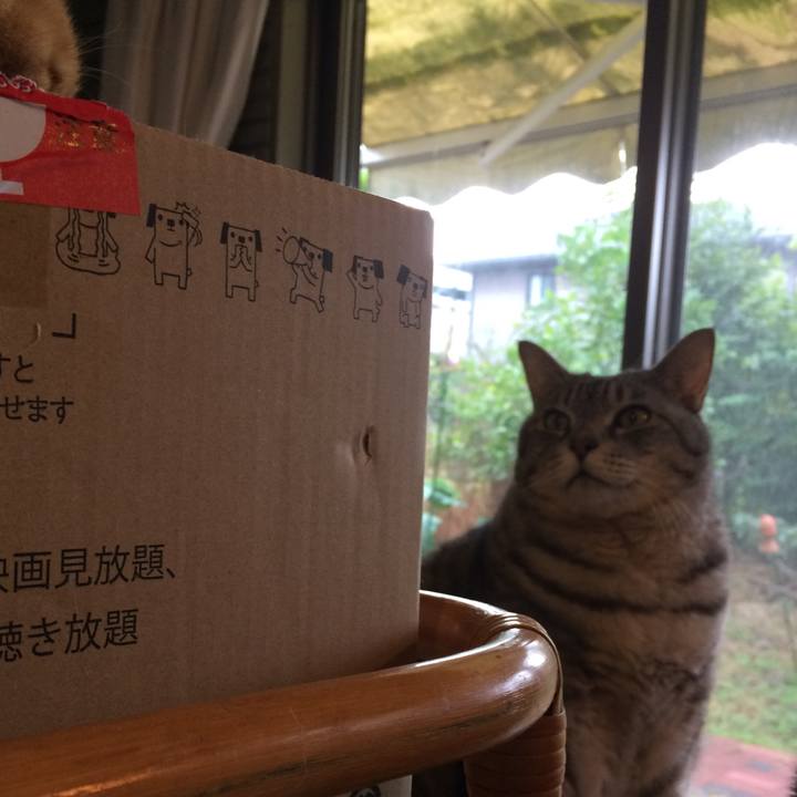 E68528d8 d6a9 4c88 a301 baa4c4a03876