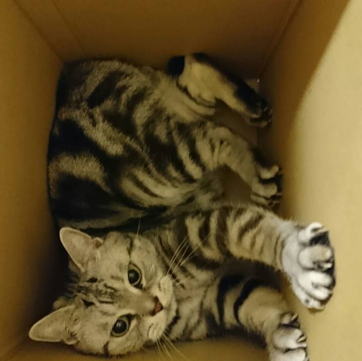 E68589ee 83ca 4c7f 8264 653fd3f2b5db