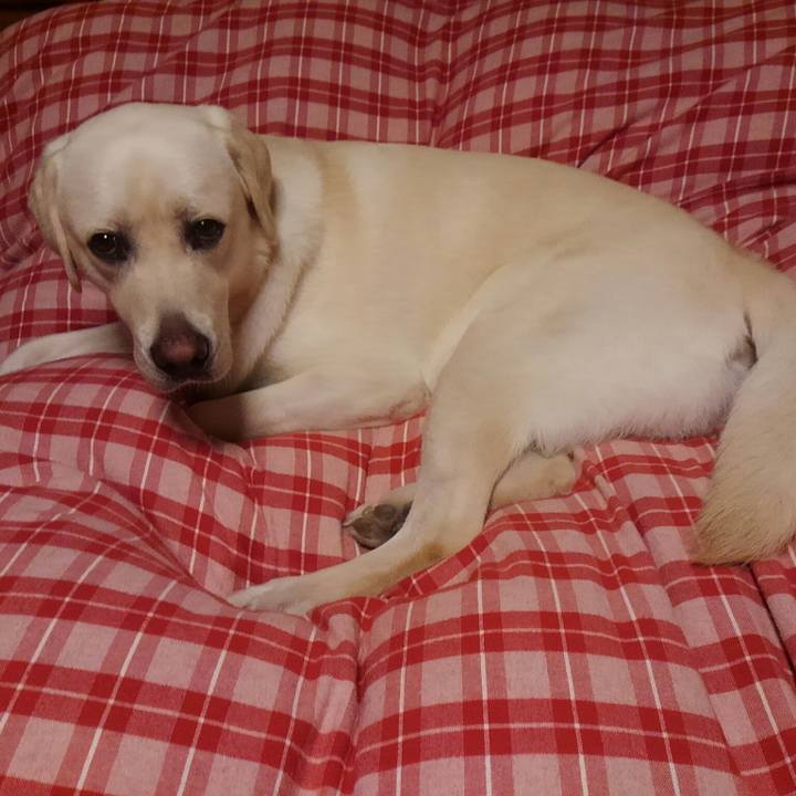 E685a365 a108 4306 8818 a1981d63e36e