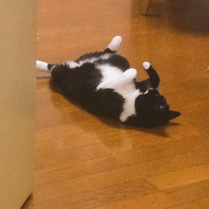 E685d6bc bc4d 4c07 a5c3 3d03c32b9c75