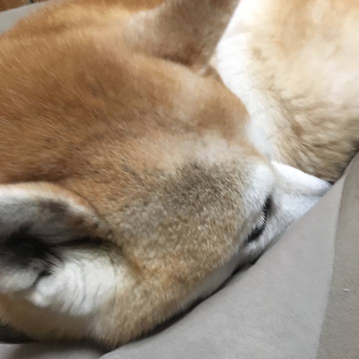 E6860ab5 1995 40cf a33d 2af35cfbe966