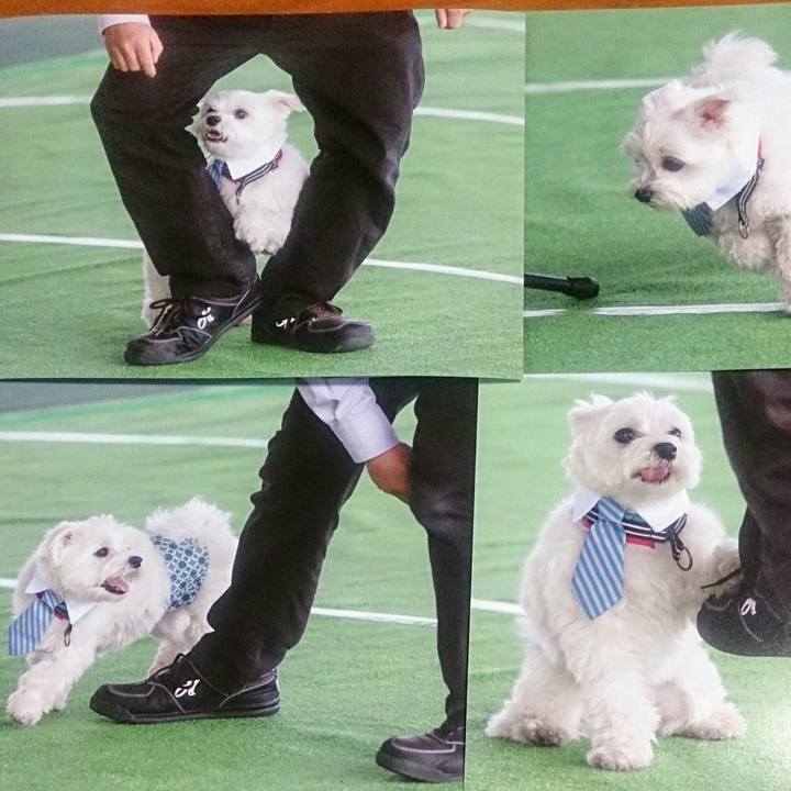 E6863379 d679 40d9 83e9 f75e4c25c287