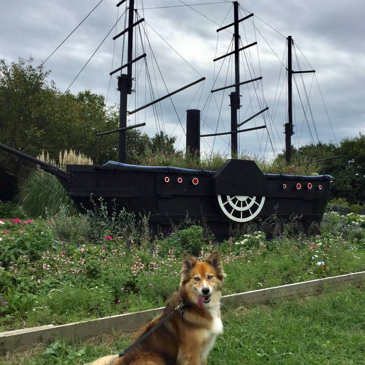 E686913a fd0e 4079 91d5 3cac6333318d