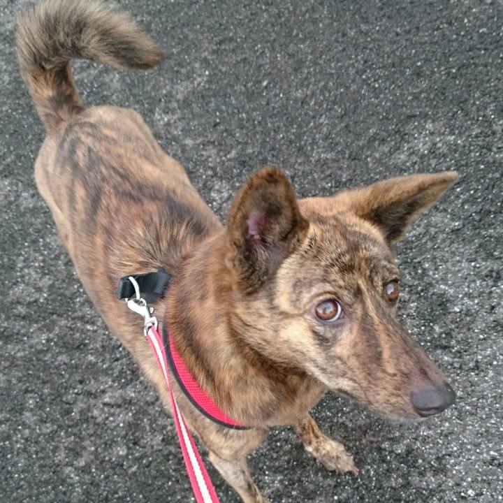 E686f1dd 2a37 4728 a1df 3a8664ef88e4