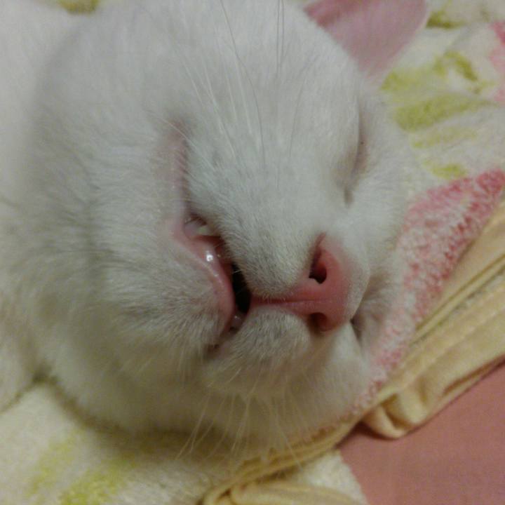 E6874607 dbf2 44cd 8207 a8f3e7d2240b