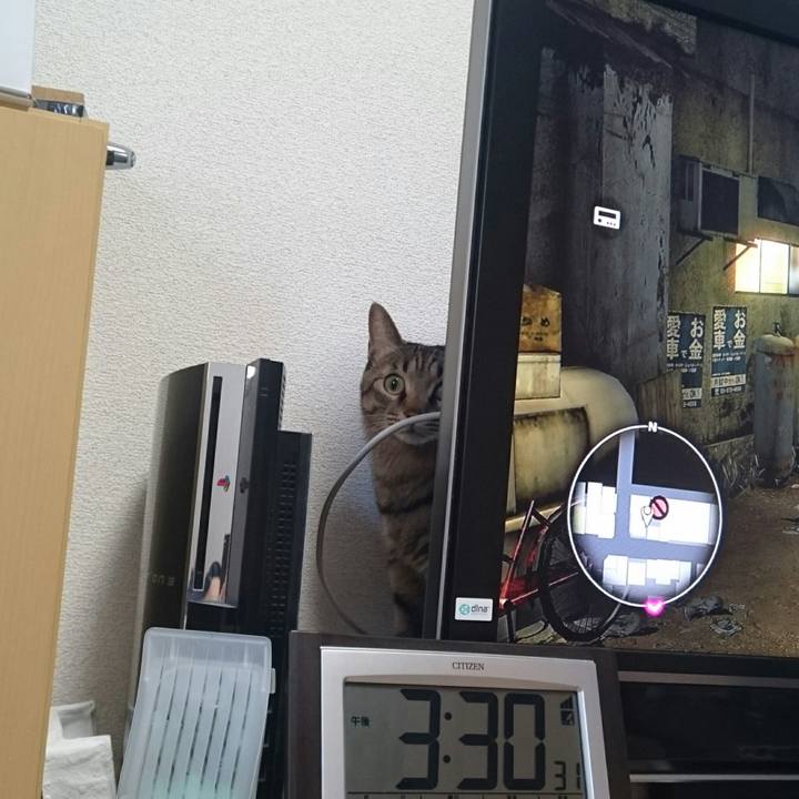 E6883ae0 eef5 4407 8d24 d2631372f8b5