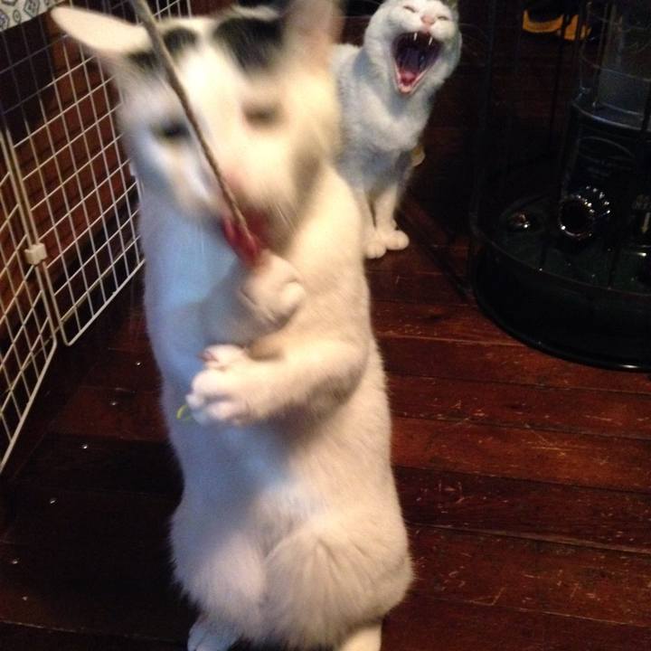 E688a20e e752 42b7 ae54 fe0d6997fe76