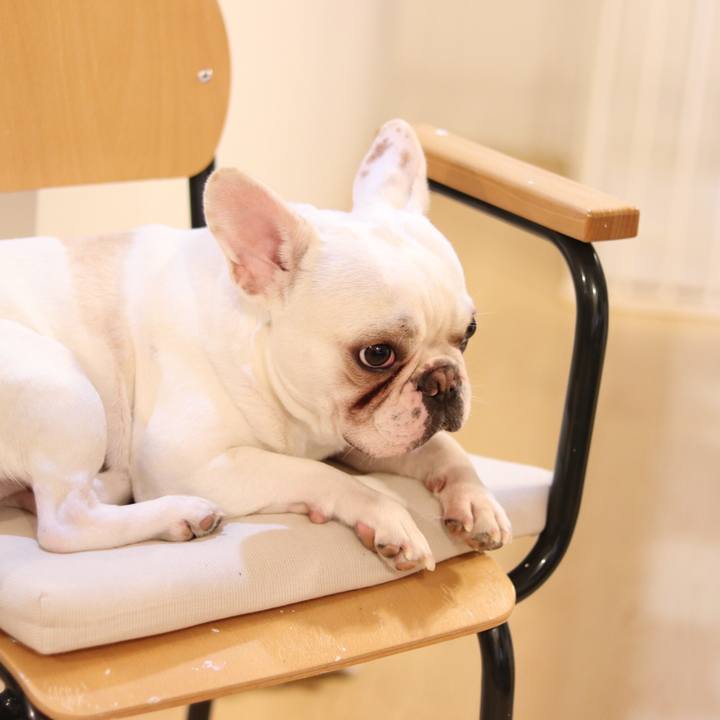 E689118f ed31 4fc4 a34f c3b18d081cce