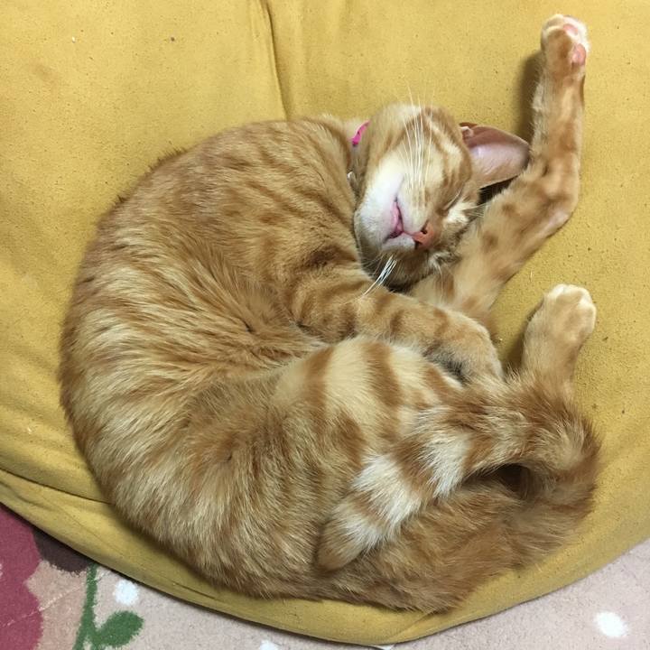 E6894620 16f1 4cb4 9491 bbcbcbbb4b19