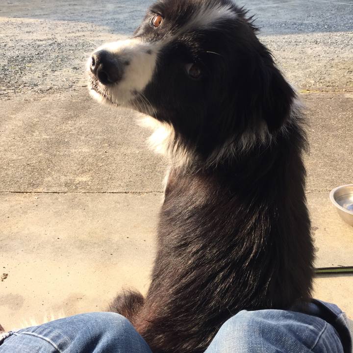 E68a3e80 d07f 4eb0 8e32 347bfcc5ddd0