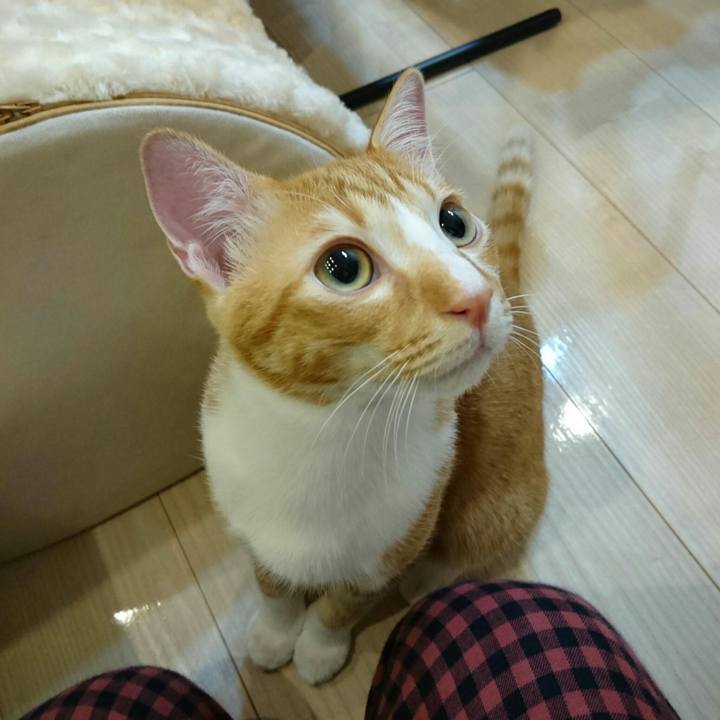 E68c3d8c 5475 4627 8711 e17de0c2bff8