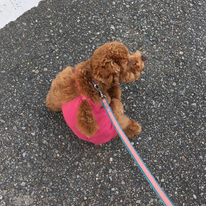 E68d4b17 8129 4225 869d e081dfb4b529