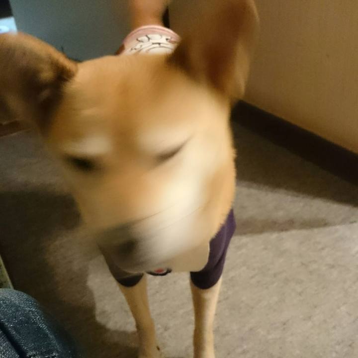 E68d74de 5749 4a0d a15e 9af1f2307e3a