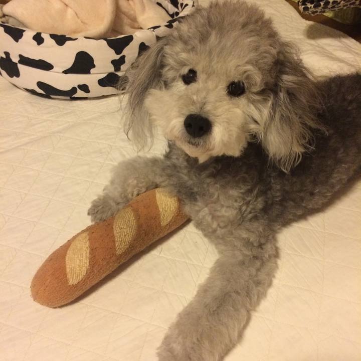 E68dddb6 36b3 42e0 aba5 73f9912b26f9