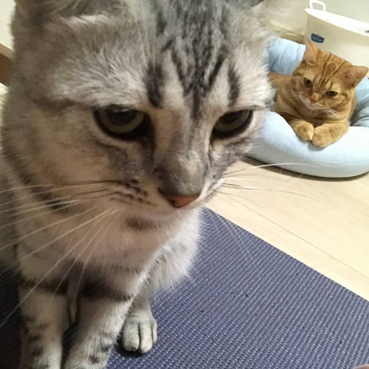 E68e624b 90b6 4fb3 a17d 1d72db48cd15