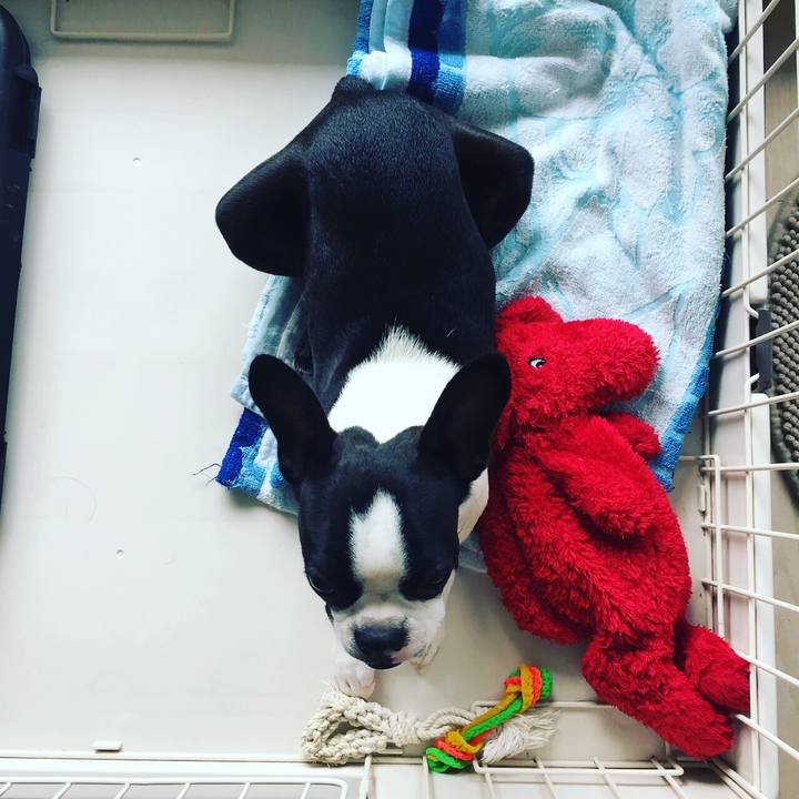 E68e9cfc 5b2b 4596 99ff d3ccbc426680