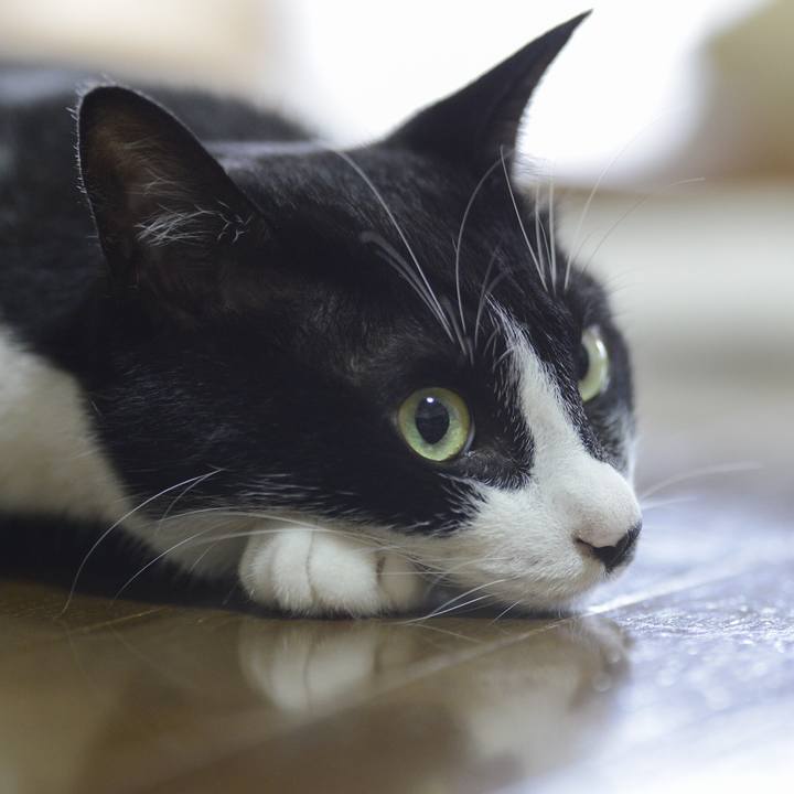 E68ef251 63c9 4b46 bac1 f15a66c11996