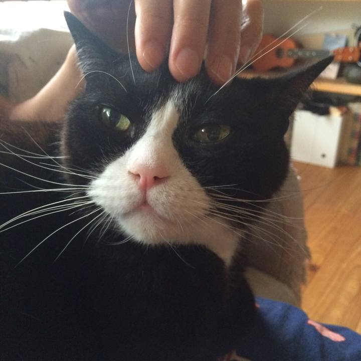 E68f858f 8e5d 4ff5 a675 6a7b6f148d46