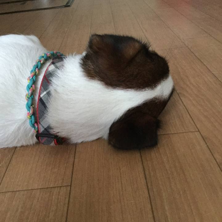 E68f9938 274a 425f b8d3 f62db5d113e7