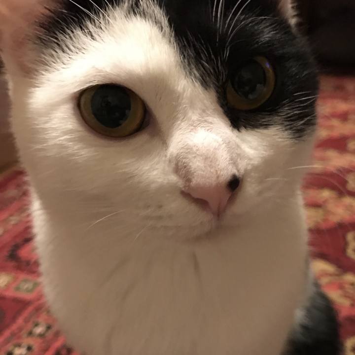 E6902710 dad8 427f a9a2 eb4a6f4b7113