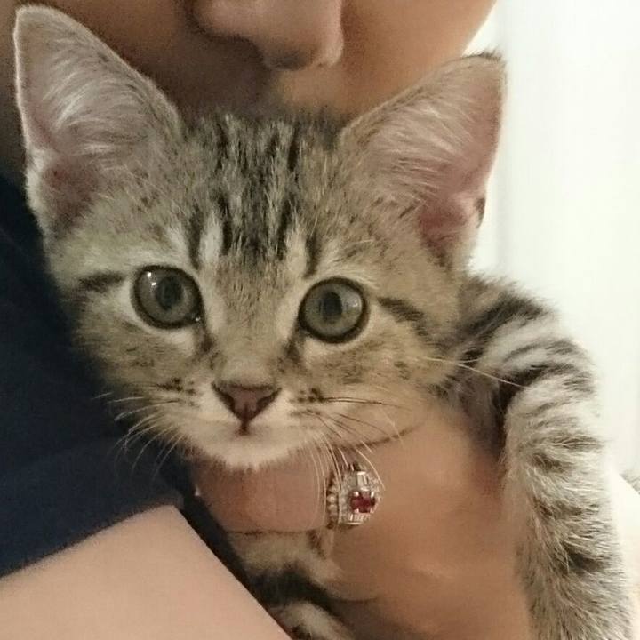 E691241e 8be3 47d7 bc26 bb061b3570a5