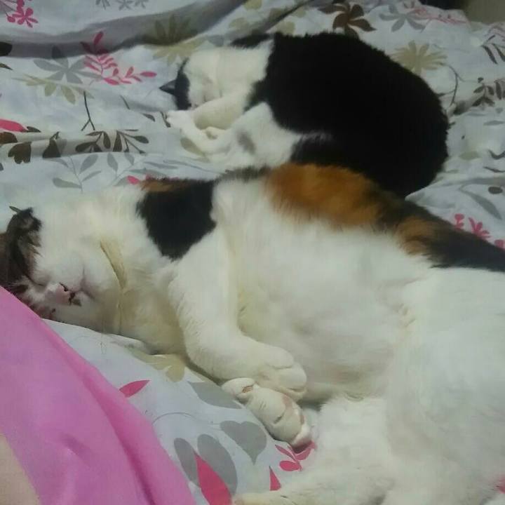 E69217d5 dcba 4b28 93ab 62fd691071f2