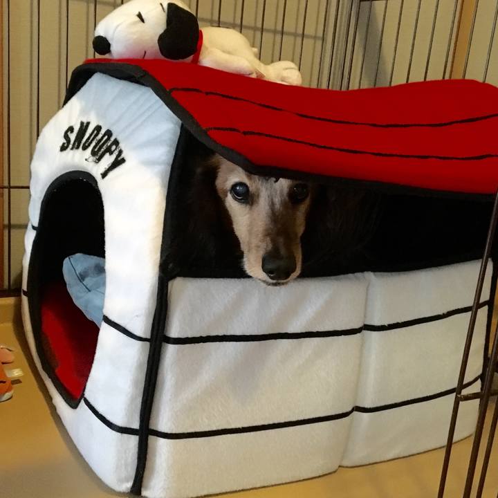 E69247e6 1255 4679 b6af 5e96df928593