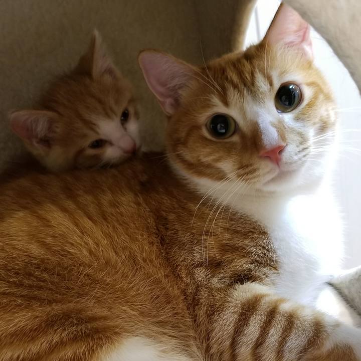 E69248cc f24f 4763 a6b3 6957121b2615