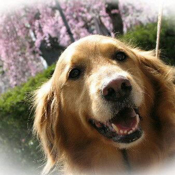 E692fd4b 55a6 4756 95ca 8325f1561529