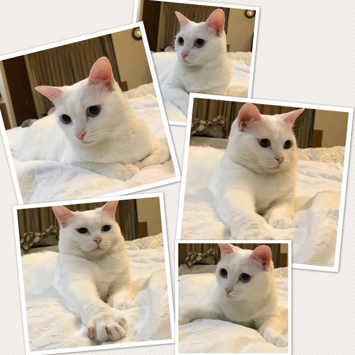 E6938e07 ca94 4349 94d7 aefc9071746a