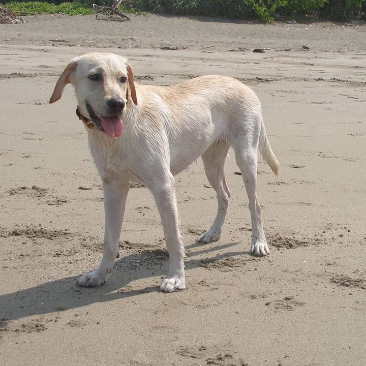 E693b0c7 11bd 4b01 9f78 f24512753dab