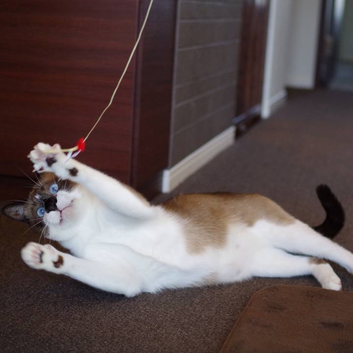 E693d299 de2c 4c33 bebd abaa26030c30