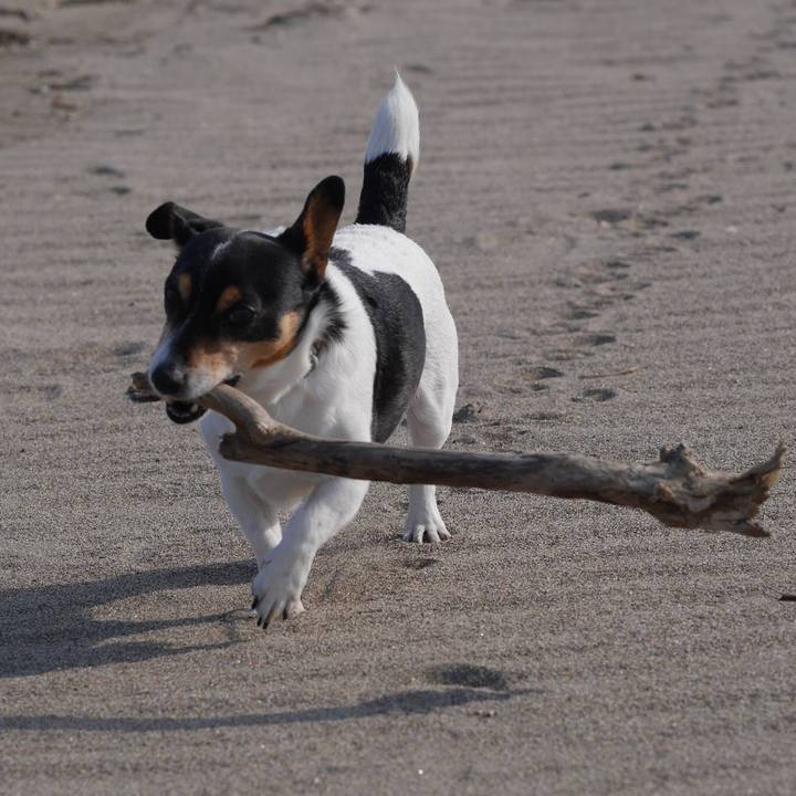 E693d5df 0c35 4580 820c 4ff9462fdef4