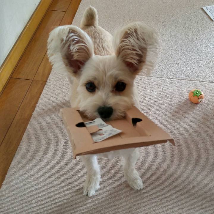 E6942419 c9e1 4d91 9a3f eb9688815020