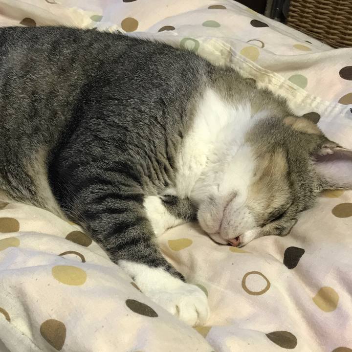 E694a698 97a2 44f0 8bf1 fead56cf6208