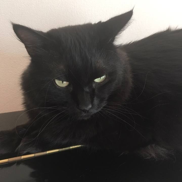 E695009c 55b4 4950 ac30 abd35881c6b9