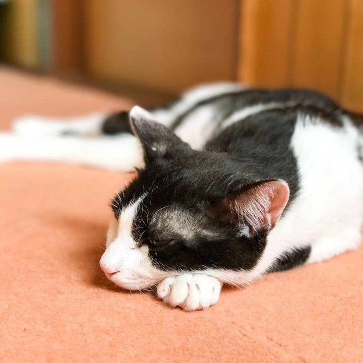 E6954c66 80f4 40df 99be 3f6f517628b5