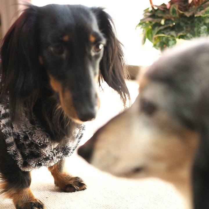 E695f31c 8fa5 41c4 8727 1f7ee401c7ee