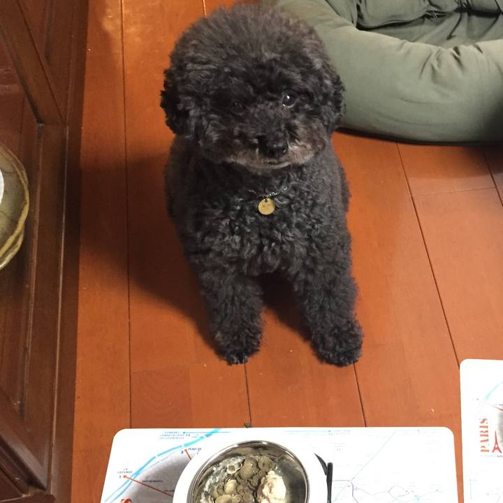 E69664f0 59d3 4981 88b3 989b0f6748cc