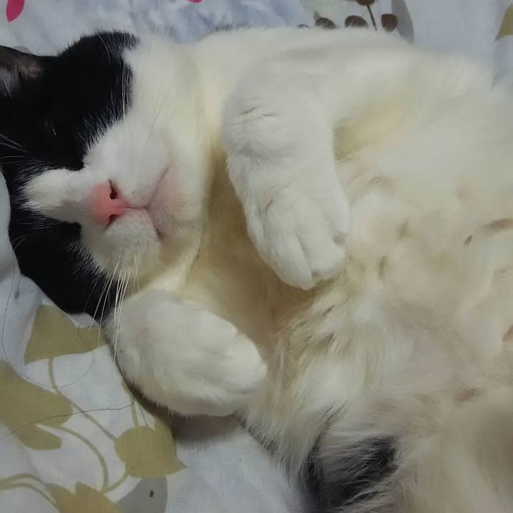 E6977630 2df9 4e93 b7fb 134ece45ecb0