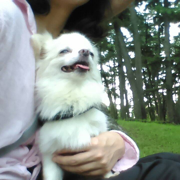 E6978780 2862 483a b6e4 8ab79506a95c