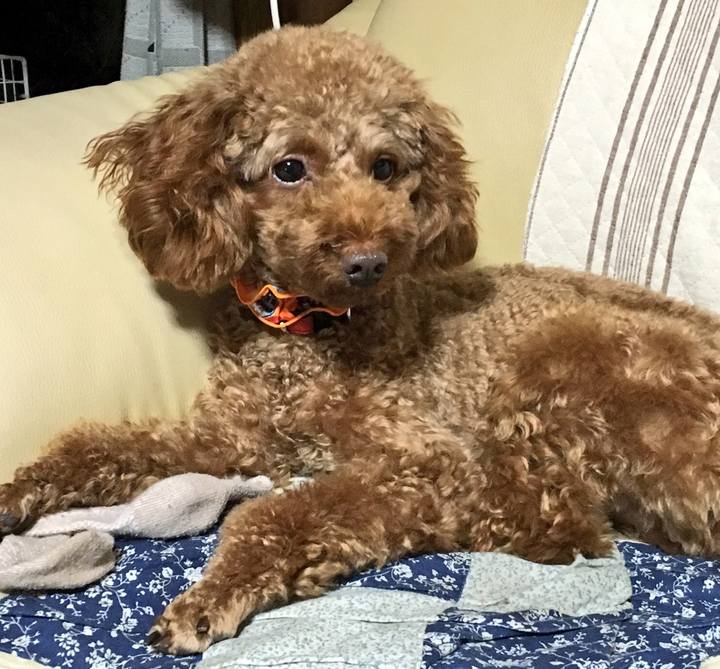 E698647d 5b4f 48e0 84dd 7c231c59272e