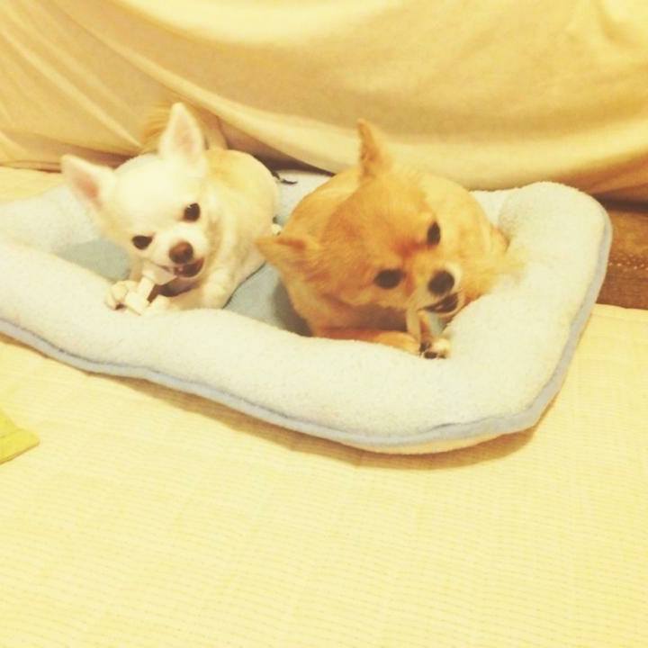 E69a0e11 56d2 4aa0 9375 8a13dbfa5e5f