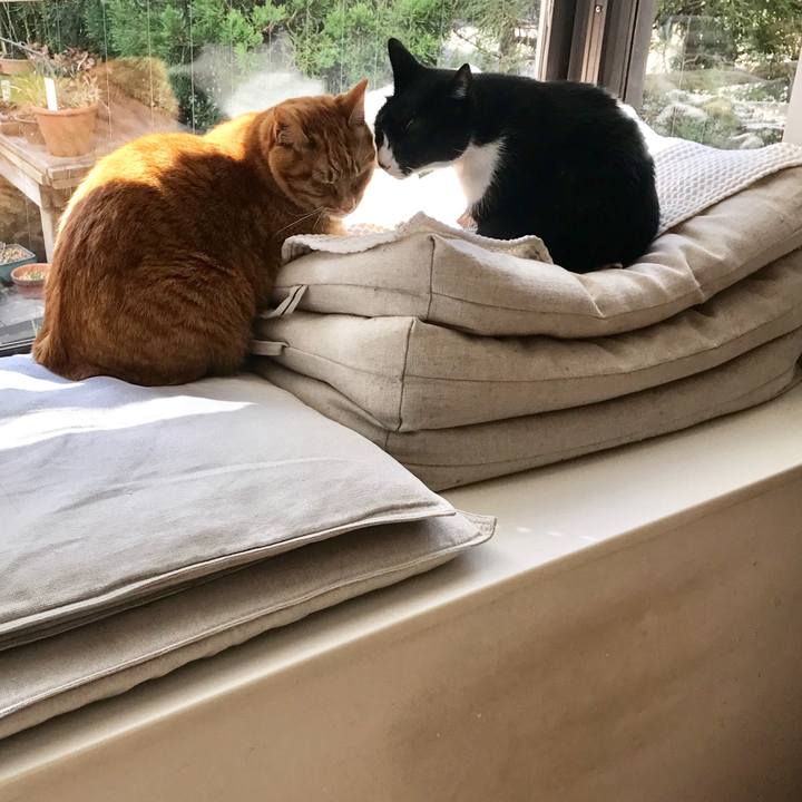 E69ad750 54f2 4aa5 bd53 53eb4636ab62