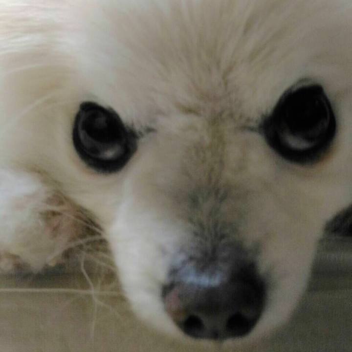 E69b4682 b41c 4c7c b953 3383f7e416df