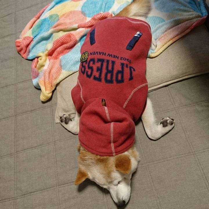 E69b78ca b0a6 46fa 840e 07a7d542f7d6