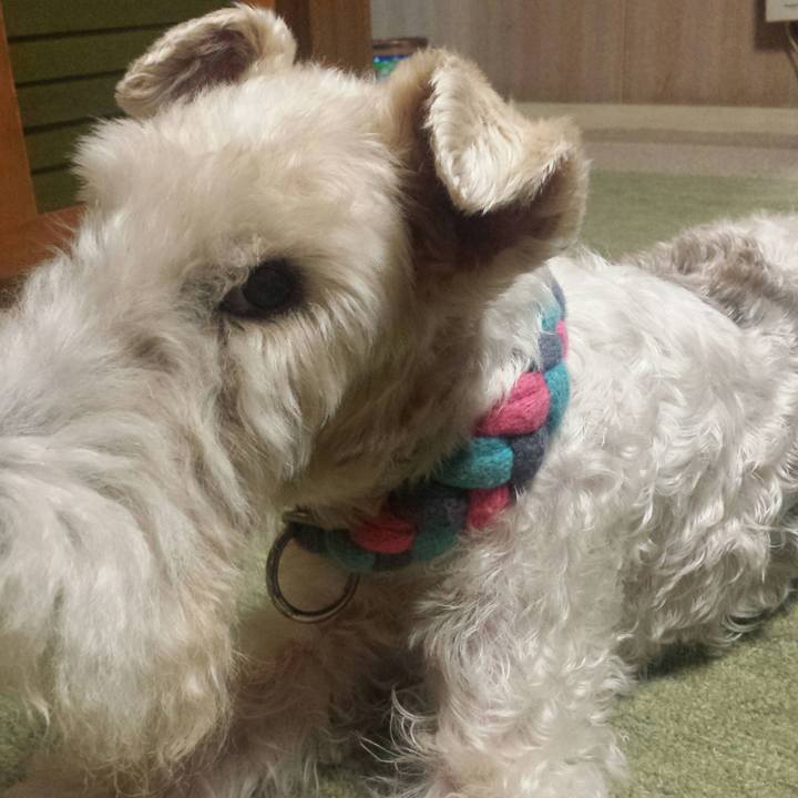 E69be2b6 633d 47e8 94a4 503309aaea13