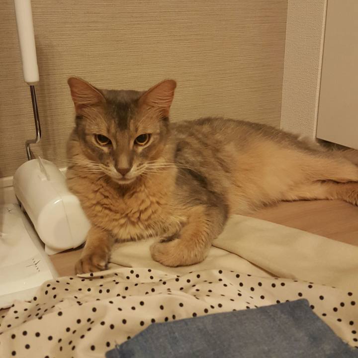 E69c43e0 5f33 496a ab2f e76942404453