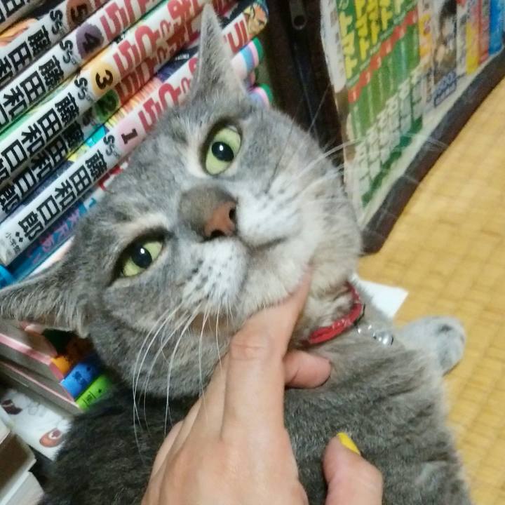 E69cb98b fa22 40a8 aca4 724b81dc35b6