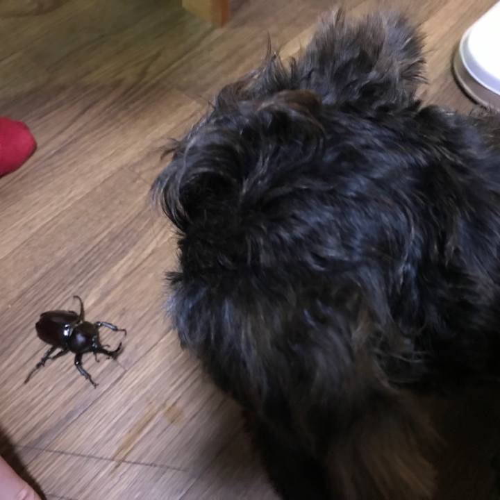 E69ce50e 8fcd 450f 80d7 c6b096d5df27